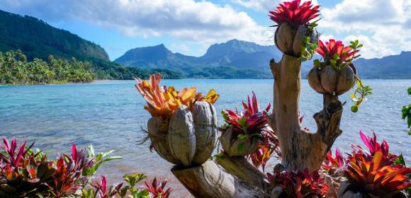 Mitsegeln: Polynesia Dream