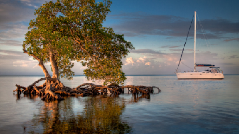 Segelyacht oder Katamaran chartern in Belize