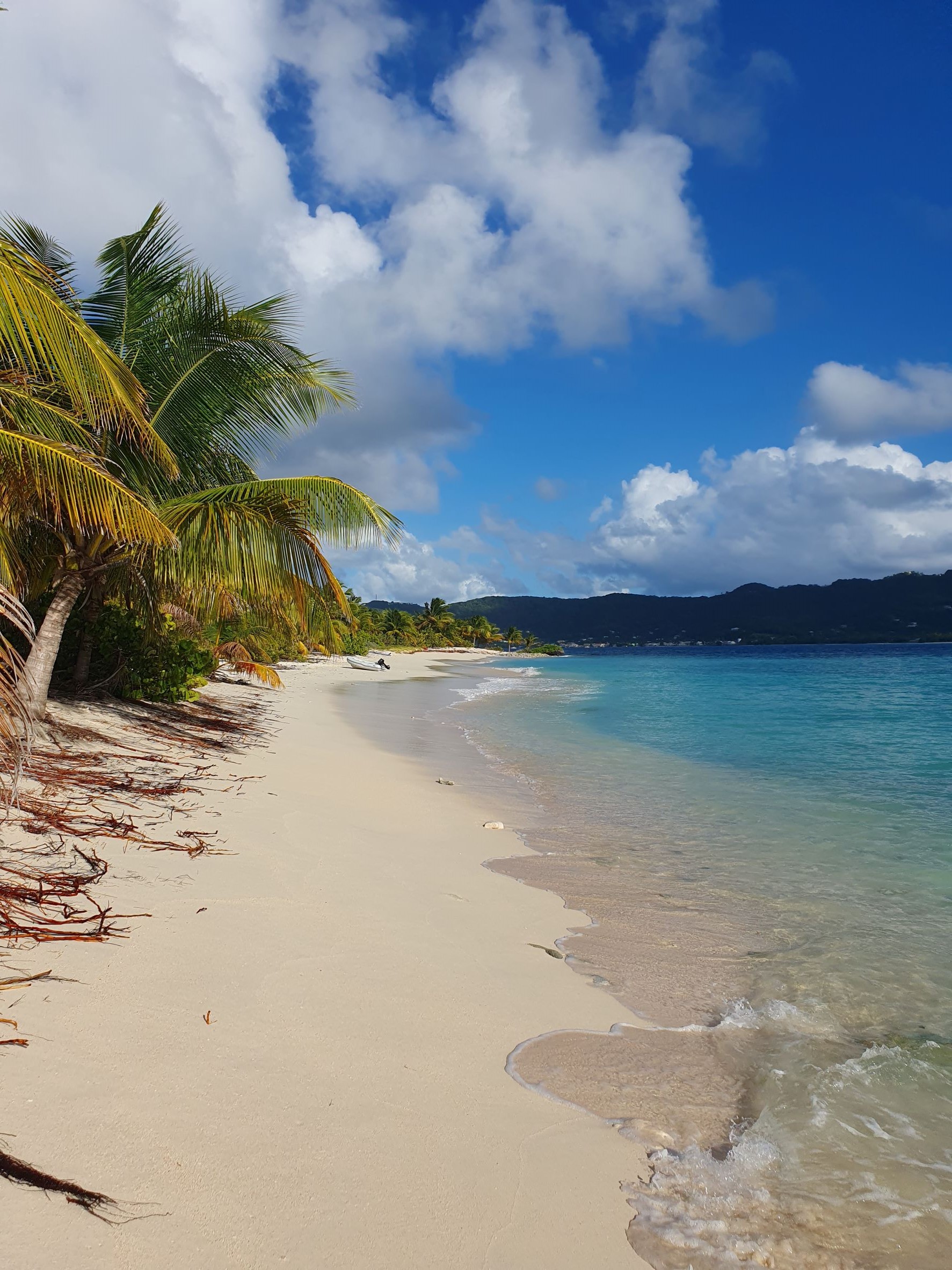 Langgezogener karibischer Strand mit weißem Sand, blauem Himmel und Palmen