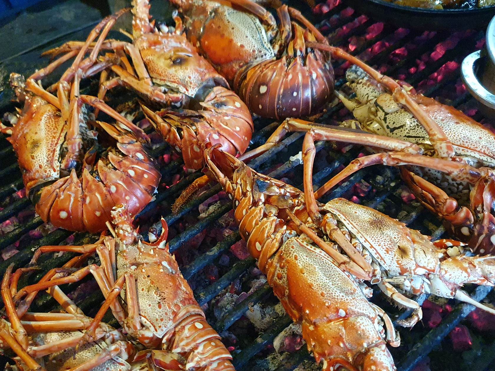Frischer Lobster auf dem Grill
